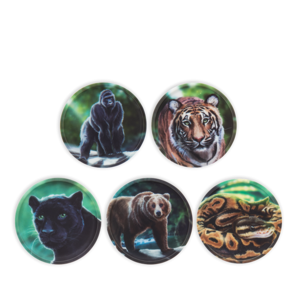 Kletties-Set  Dschungel, Edition 2026